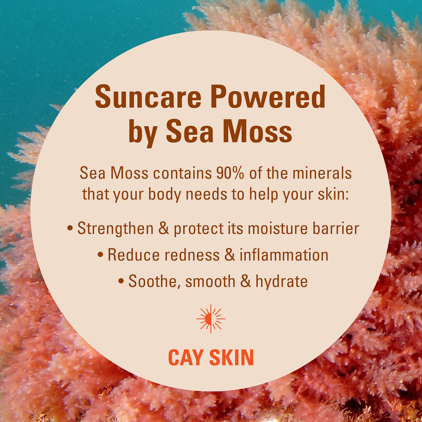 sea moss contains minerals that your body needs